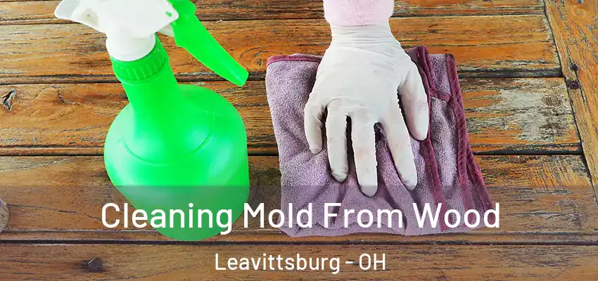  Cleaning Mold From Wood Leavittsburg - OH