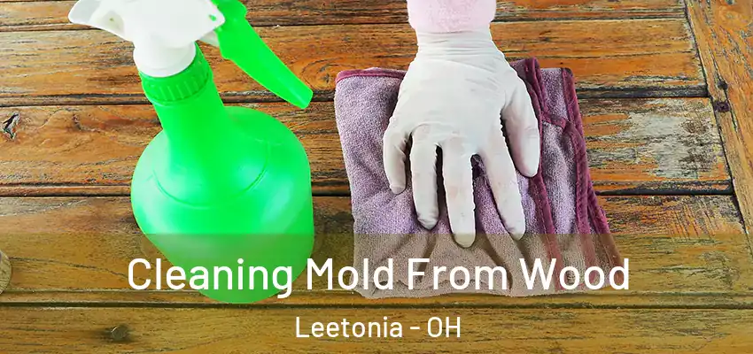  Cleaning Mold From Wood Leetonia - OH