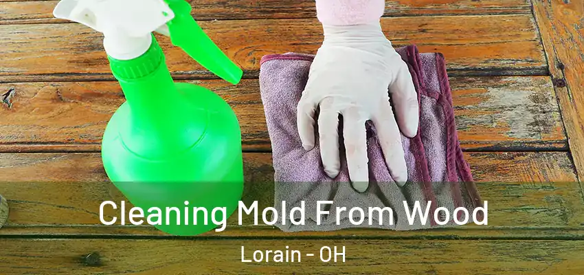  Cleaning Mold From Wood Lorain - OH
