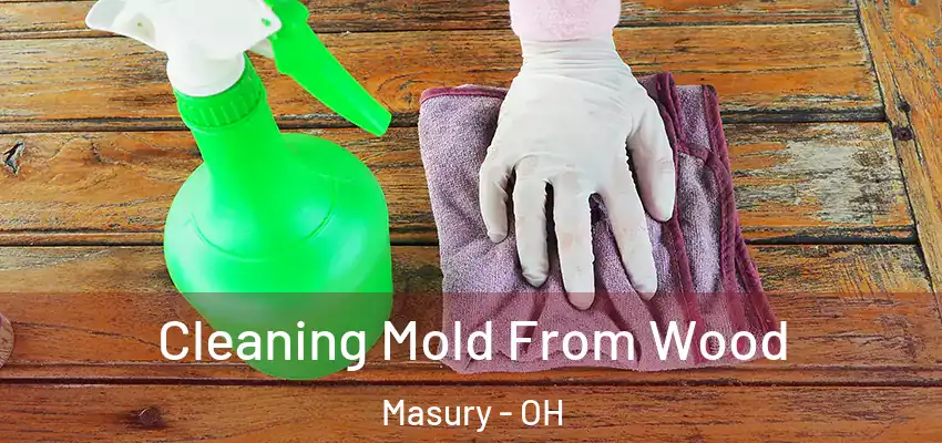  Cleaning Mold From Wood Masury - OH