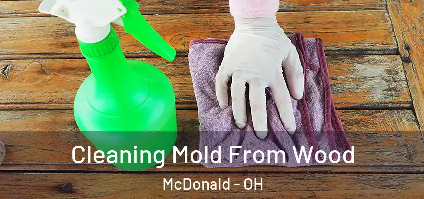  Cleaning Mold From Wood McDonald - OH