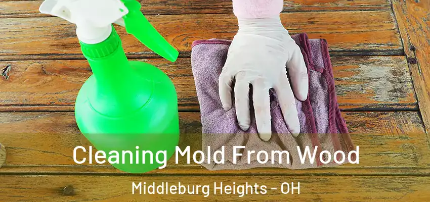  Cleaning Mold From Wood Middleburg Heights - OH