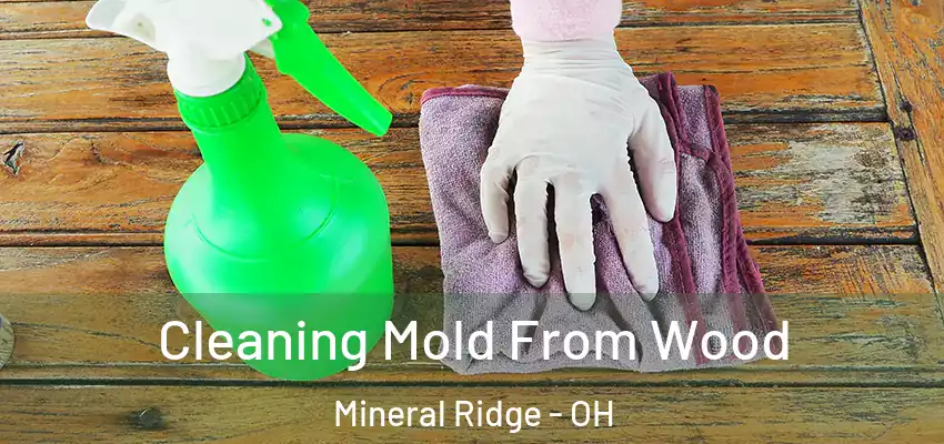  Cleaning Mold From Wood Mineral Ridge - OH