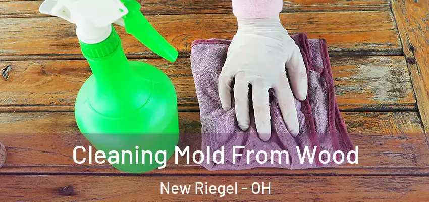  Cleaning Mold From Wood New Riegel - OH