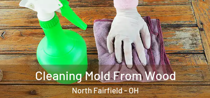  Cleaning Mold From Wood North Fairfield - OH