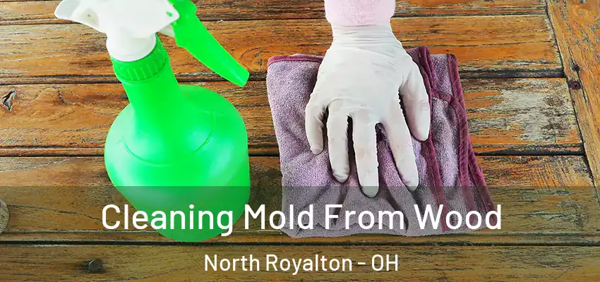  Cleaning Mold From Wood North Royalton - OH