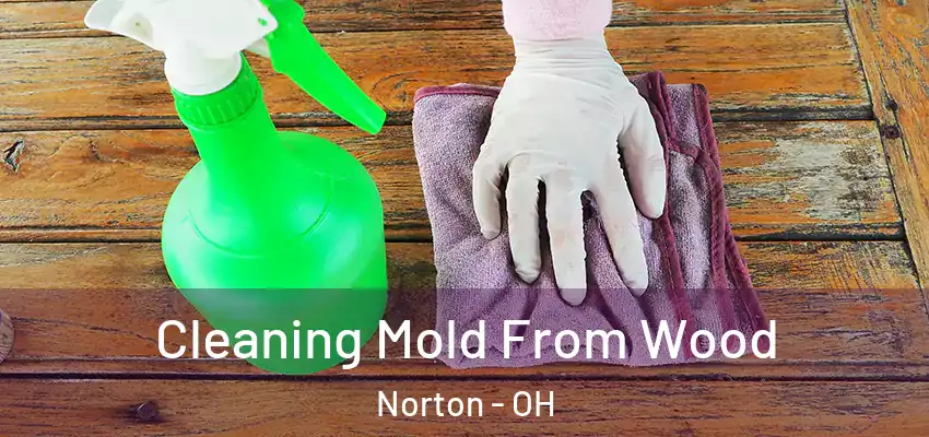  Cleaning Mold From Wood Norton - OH