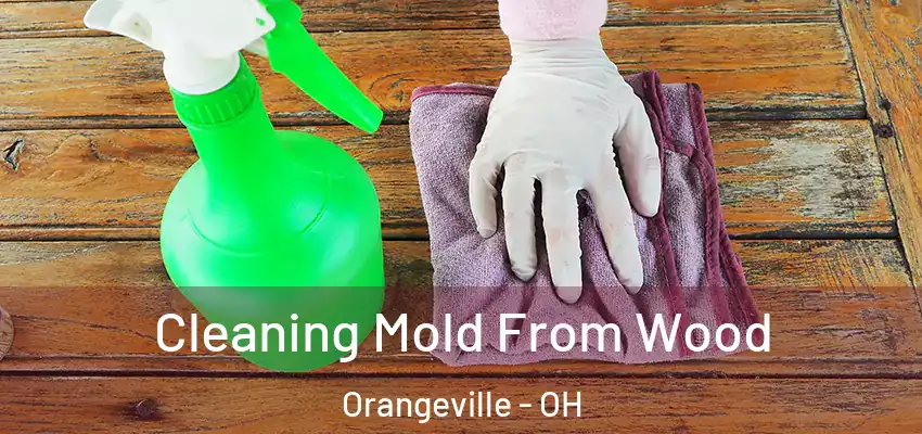  Cleaning Mold From Wood Orangeville - OH