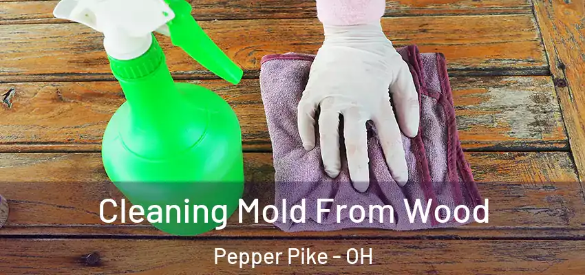  Cleaning Mold From Wood Pepper Pike - OH