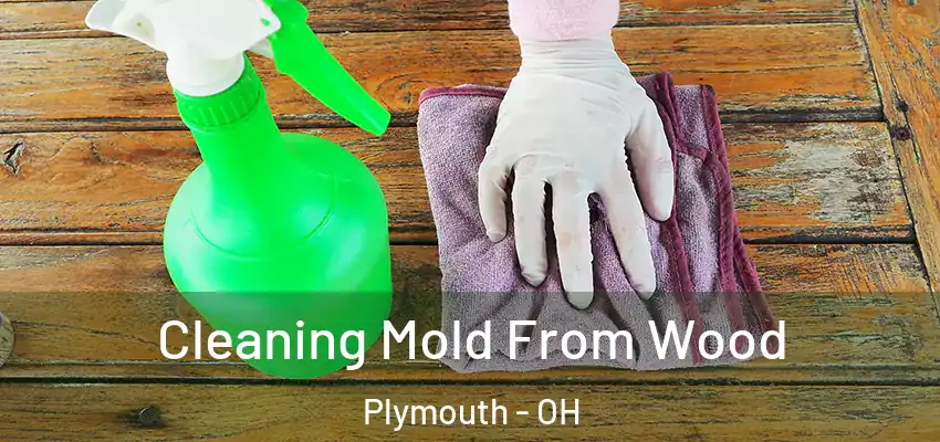  Cleaning Mold From Wood Plymouth - OH