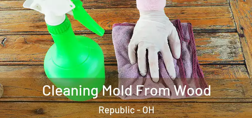  Cleaning Mold From Wood Republic - OH