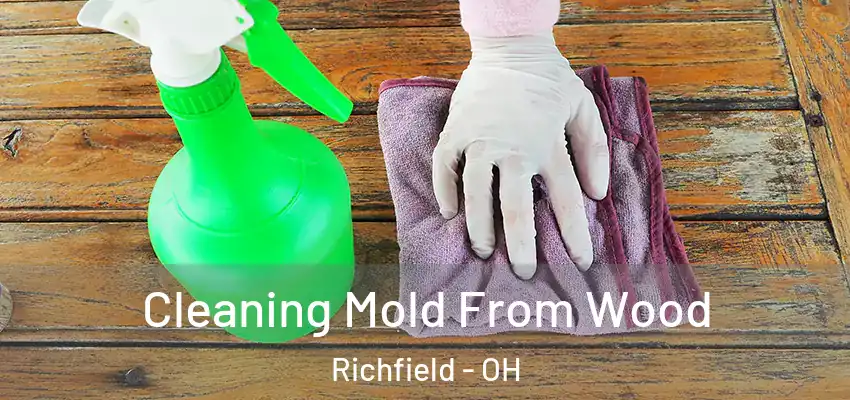  Cleaning Mold From Wood Richfield - OH