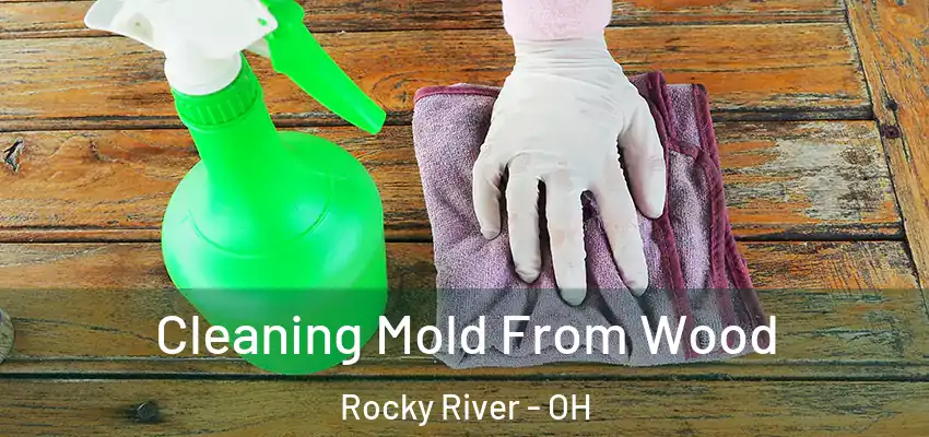  Cleaning Mold From Wood Rocky River - OH