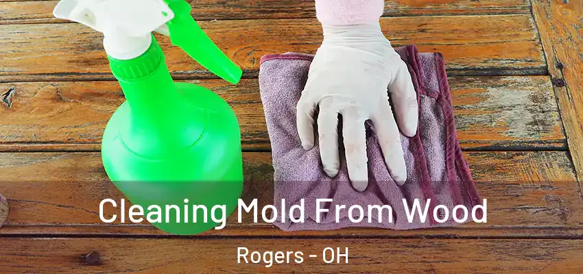  Cleaning Mold From Wood Rogers - OH