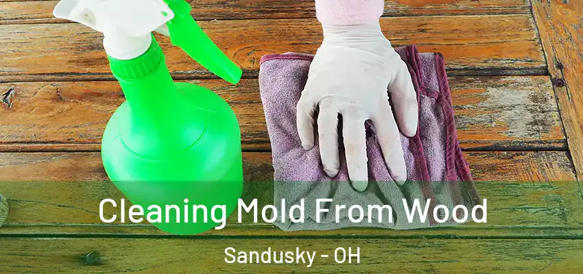  Cleaning Mold From Wood Sandusky - OH
