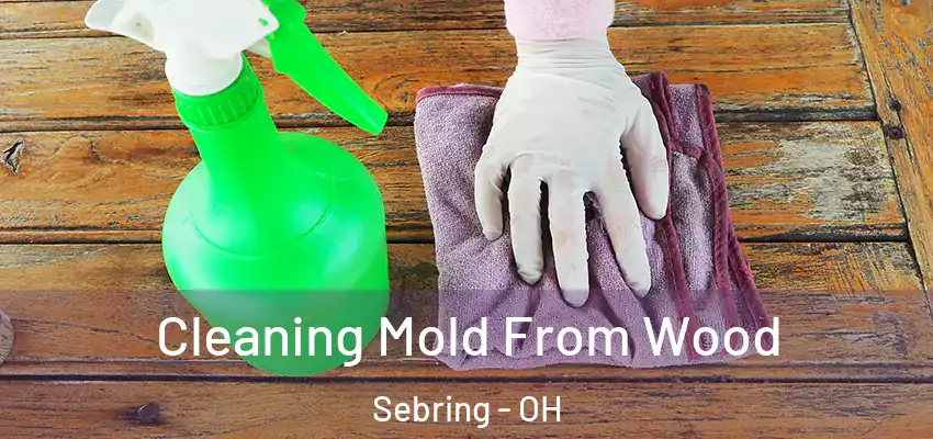  Cleaning Mold From Wood Sebring - OH