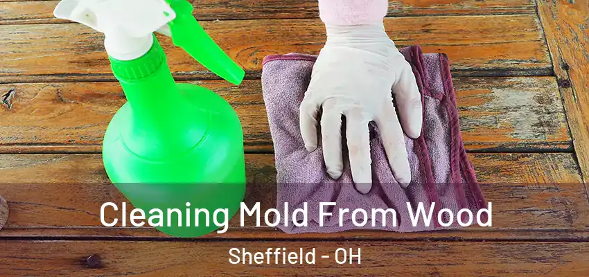  Cleaning Mold From Wood Sheffield - OH