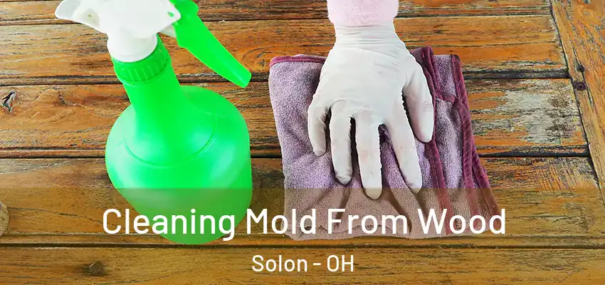  Cleaning Mold From Wood Solon - OH