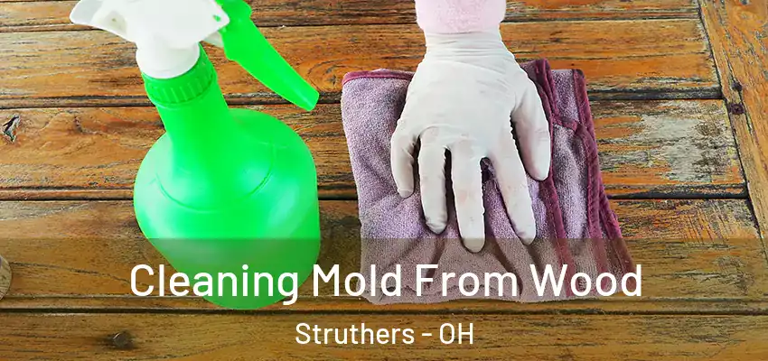  Cleaning Mold From Wood Struthers - OH