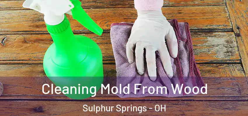  Cleaning Mold From Wood Sulphur Springs - OH