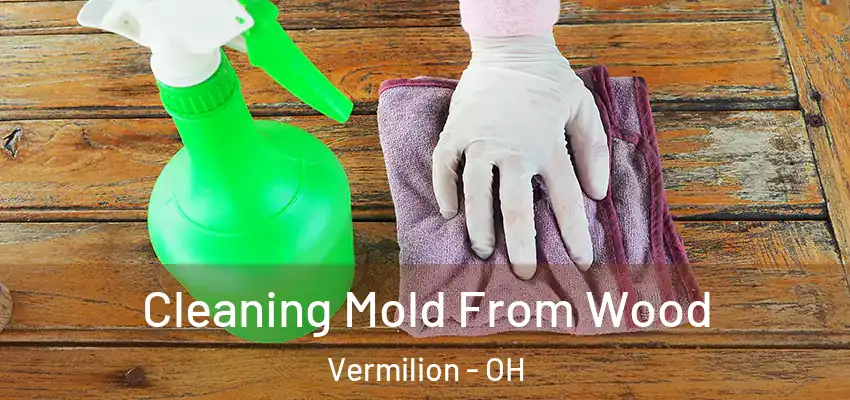  Cleaning Mold From Wood Vermilion - OH