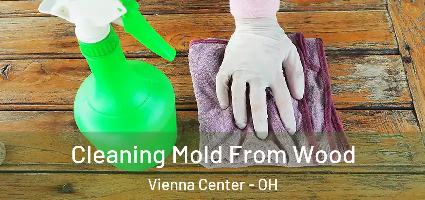Cleaning Mold From Wood Vienna Center - OH