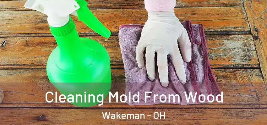  Cleaning Mold From Wood Wakeman - OH
