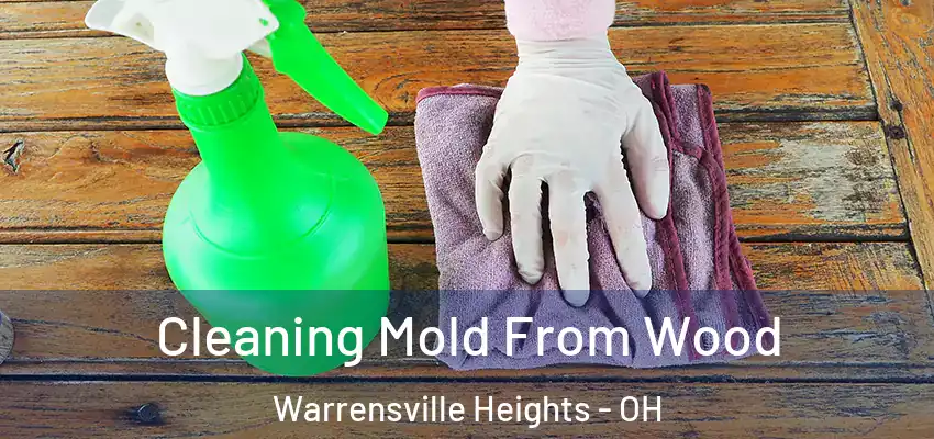  Cleaning Mold From Wood Warrensville Heights - OH