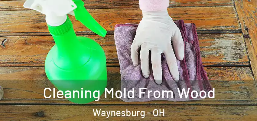  Cleaning Mold From Wood Waynesburg - OH