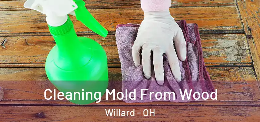  Cleaning Mold From Wood Willard - OH