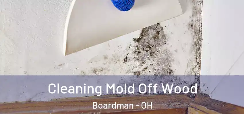 Cleaning Mold Off Wood Boardman - OH