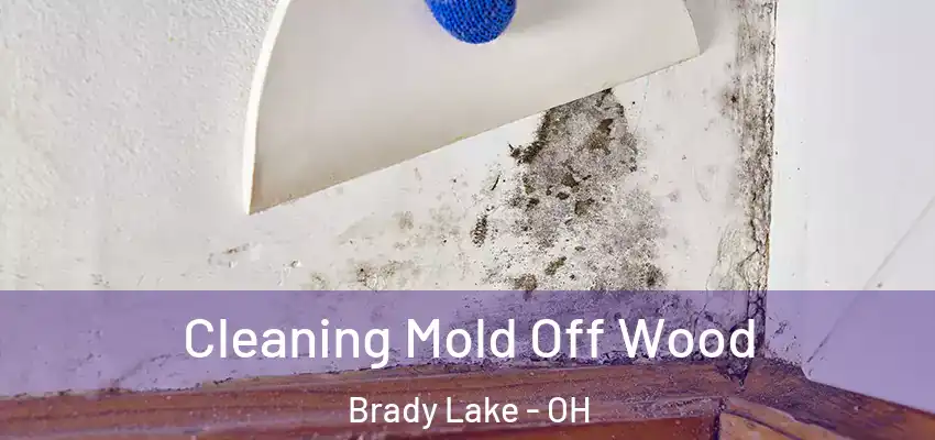 Cleaning Mold Off Wood Brady Lake - OH