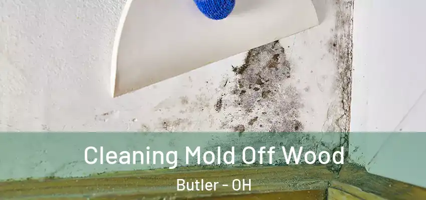 Cleaning Mold Off Wood Butler - OH