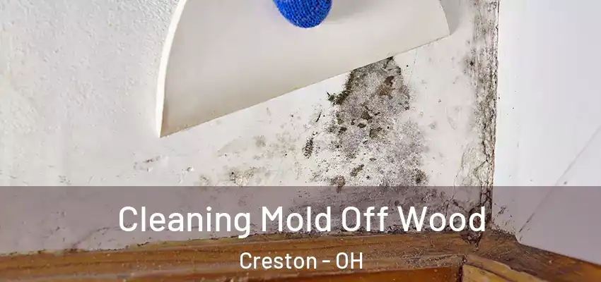 Cleaning Mold Off Wood Creston - OH