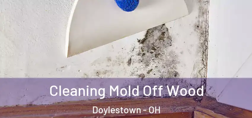  Cleaning Mold Off Wood Doylestown - OH
