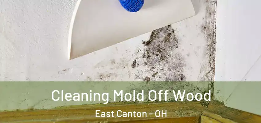  Cleaning Mold Off Wood East Canton - OH