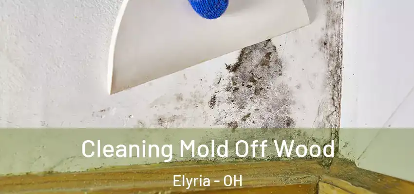  Cleaning Mold Off Wood Elyria - OH