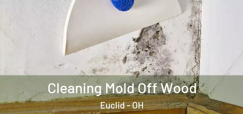  Cleaning Mold Off Wood Euclid - OH