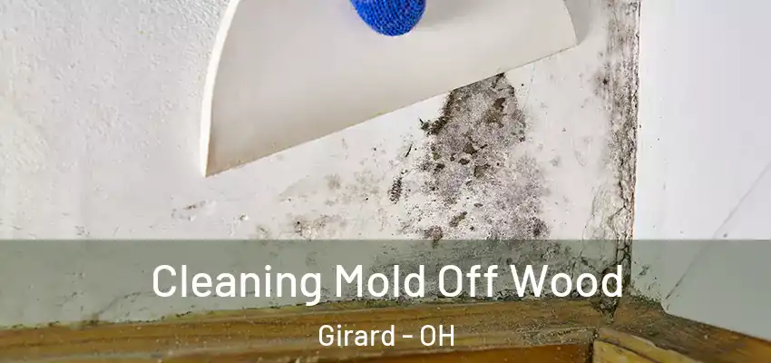  Cleaning Mold Off Wood Girard - OH