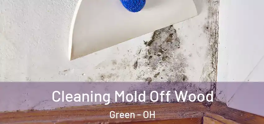  Cleaning Mold Off Wood Green - OH
