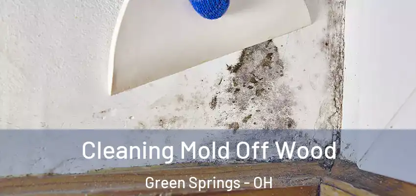 Cleaning Mold Off Wood Green Springs - OH