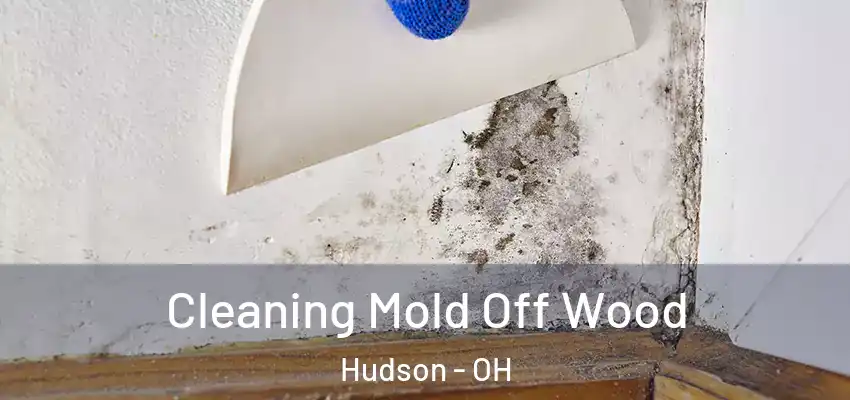  Cleaning Mold Off Wood Hudson - OH
