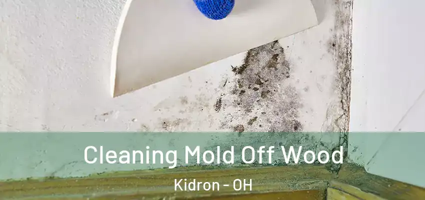  Cleaning Mold Off Wood Kidron - OH