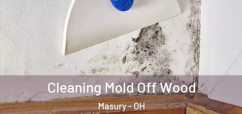  Cleaning Mold Off Wood Masury - OH