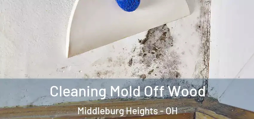  Cleaning Mold Off Wood Middleburg Heights - OH