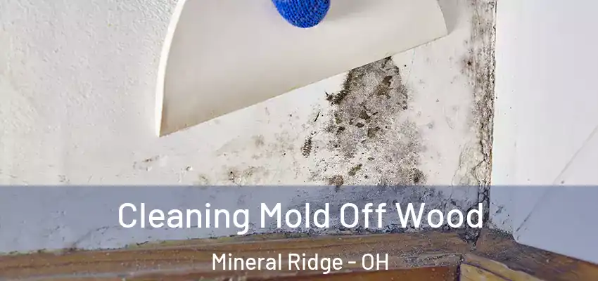  Cleaning Mold Off Wood Mineral Ridge - OH