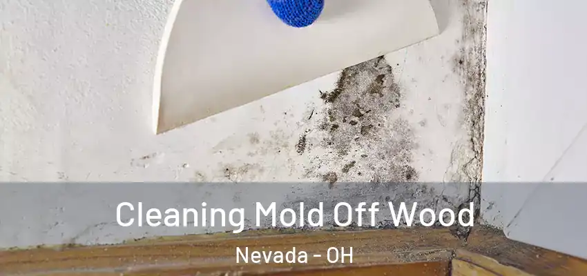  Cleaning Mold Off Wood Nevada - OH