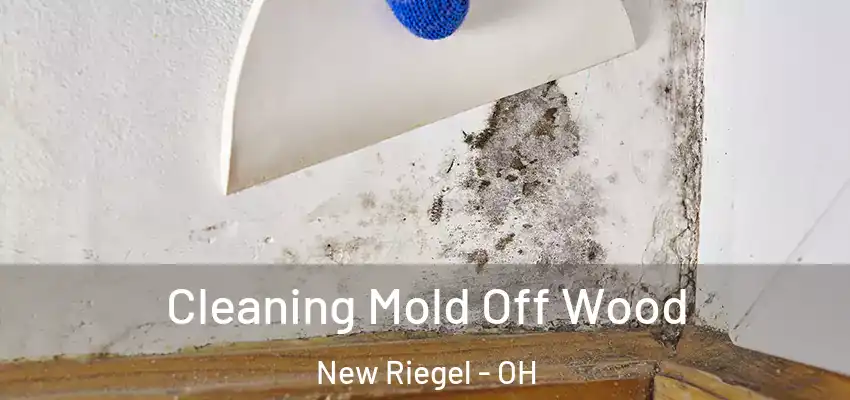  Cleaning Mold Off Wood New Riegel - OH
