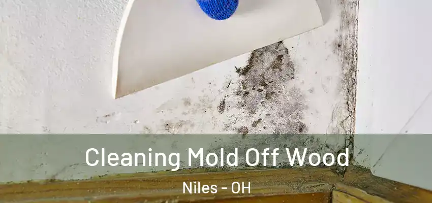  Cleaning Mold Off Wood Niles - OH