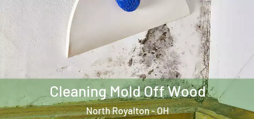  Cleaning Mold Off Wood North Royalton - OH